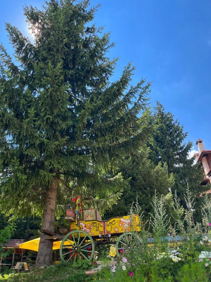 Апартамент Горска Приказка - Forest Tale Smolyan Eksteriør billede