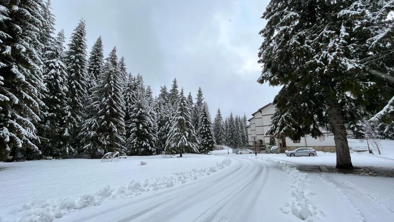 Апартамент Горска Приказка - Forest Tale Smolyan Eksteriør billede